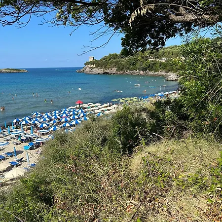 Aparthotel Da Domingo Marina di Camerota