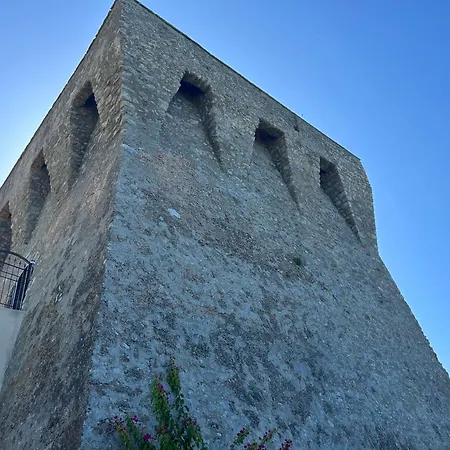 Da Domingo Marina di Camerota